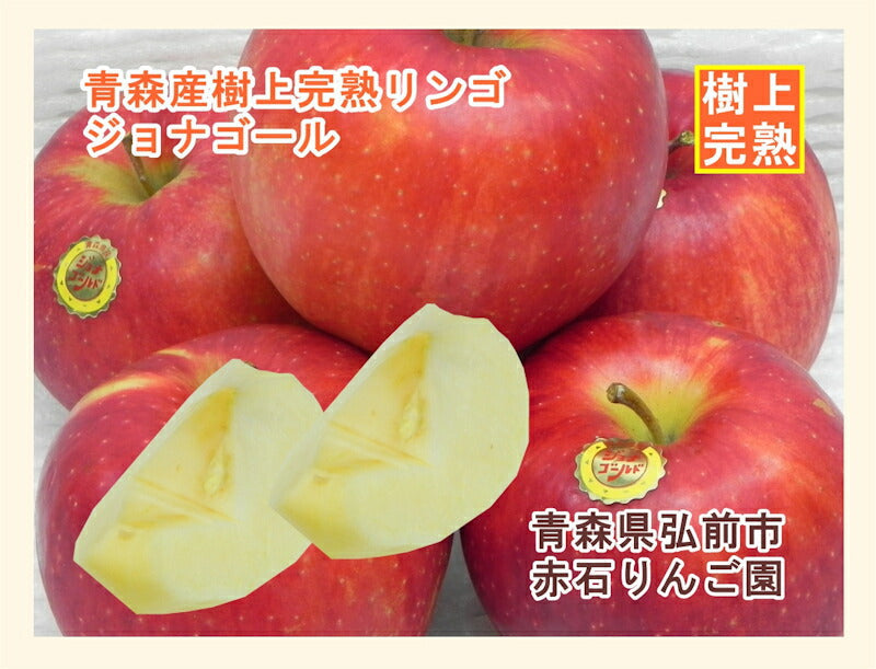 【フルーツ りんご 青森りんご 送料無料】青森県弘前市 赤石りんご園青森りんご 貯蔵ジョナゴールド 2.5kg（6玉～10玉）特別貯蔵スマートフレッシュりんご【リンゴ 果物 贈答品 ギフト】