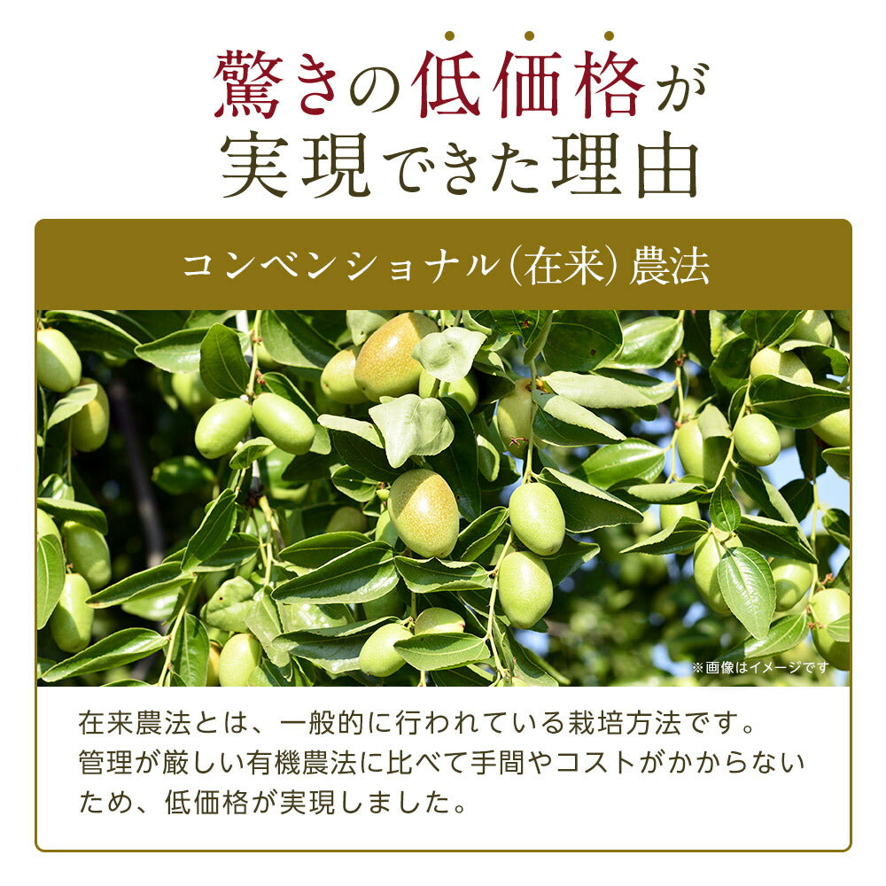 お試し 生 ホホバオイル 100ml　アルミパウチ 【 ホホバオイル キャリアオイル ヘアオイル ボディオイル ヘアケア マッサージオイル 植物性 スキンケア carrier 】