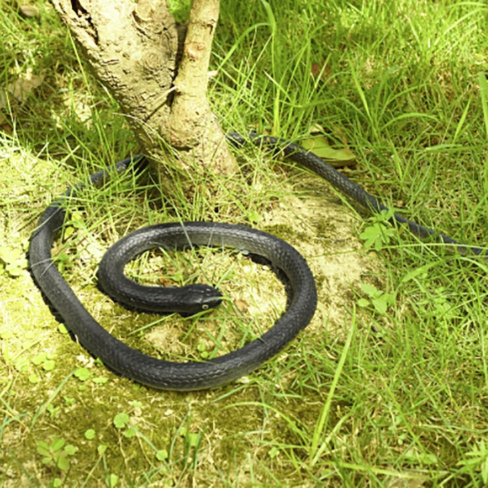 玩具 蛇 ヘビ スネーク snake おもしろ ドッキリ ガラガラヘビ パーティーグッズ 恐怖 爬虫類 悪ふざけ ジョーク おもちゃ 誕生日 クリスマス ギフト サプライズ 手品 マジック マジシャン magic 木製 友人 家族 パーティー