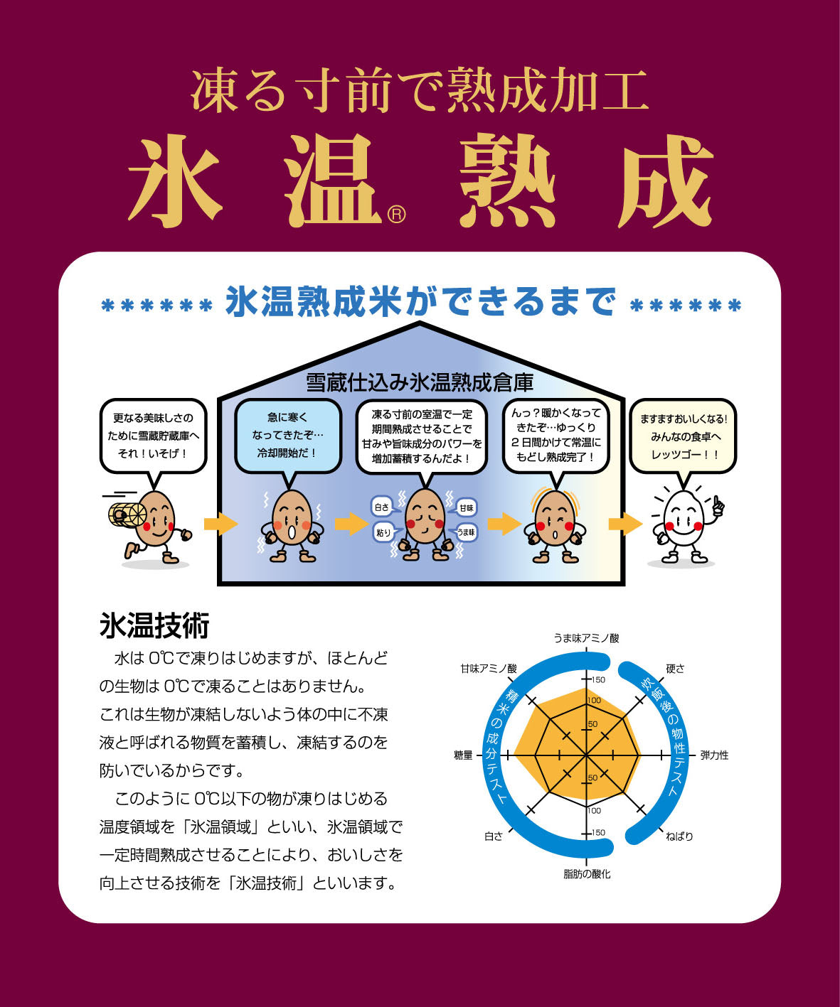 ★非掲載★雪蔵仕込み氷温熟成 新潟産こしひかり 4kg（2kg×2袋） コシヒカリ 新潟 県産 白米 精米 つやつや もちもち 甘い うるち米 ギフト 中元 歳暮 お試し グルメ お取り寄せ ランキング 人気 おすすめ 送料無料 ※代引不可