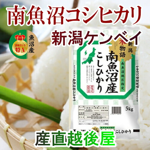 【送料込み】令和５年産 新潟県産 コシヒカリ 10kgＪＡ農協米 新潟ケンベイ産