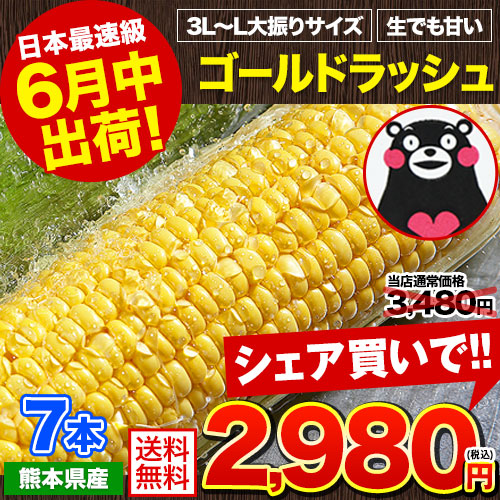 日本最速級6月中出荷 とうもろこし ゴールドラッシュ 7本入り (3L~L サイズ)