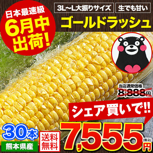 日本最速級6月中出荷 とうもろこし ゴールドラッシュ 30本入り (3L~L サイズ) 約9.0kg～約10.5kg メロン並の甘さ 朝採り 生で食べられる トウモロコシ スイートコーン お取り寄せ