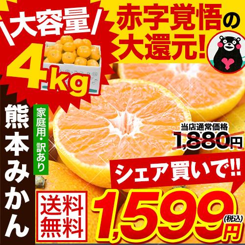 【限定100セット特別価格】熊本 みかん たっぷり4Kg!! 訳あり みかん 蜜柑 1セット