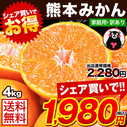 熊本みかん たっぷり4Kg！家庭用訳あり みかん 蜜柑 1セット