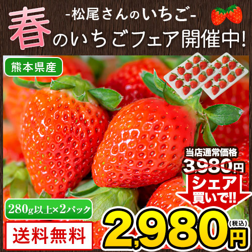 熊本県産 いちご 苺 ゆうべに 恋みのり 280g以上×2パック (24～36玉)  送料無料