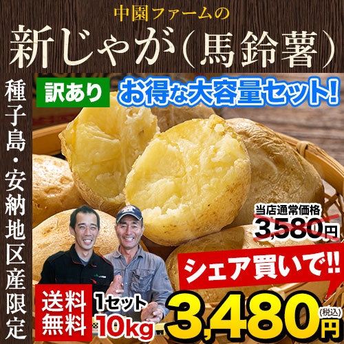 中園ファームのじゃがいも 新じゃが (馬鈴薯) 訳あり 10kg (M～2Lサイズ混合)