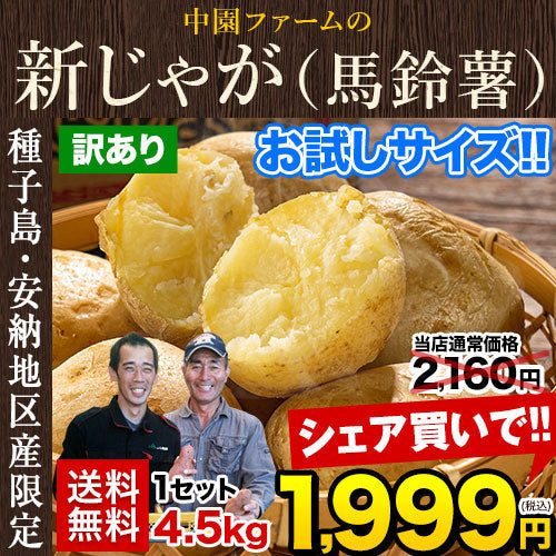 中園ファームのじゃがいも 新じゃが (馬鈴薯) 訳あり 4.5kg (M～2Lサイズ混合) 種子島産 ジャガイモ 芋 野菜 お取り寄せ