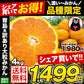 大粒 みかん 訳あり 4kg