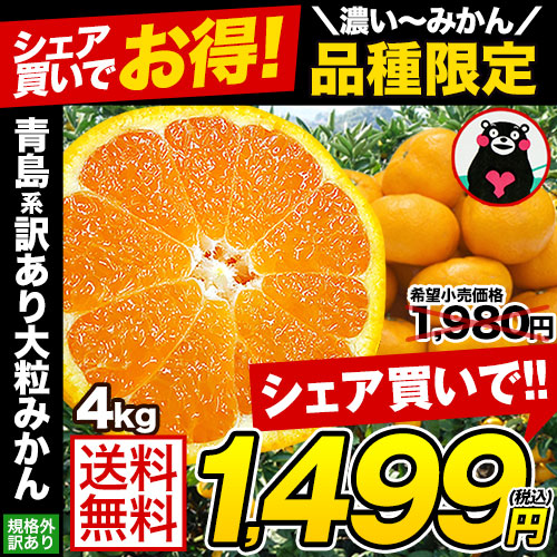 大粒 みかん 訳あり 4kg
