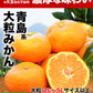 大粒 みかん 訳あり 4kg