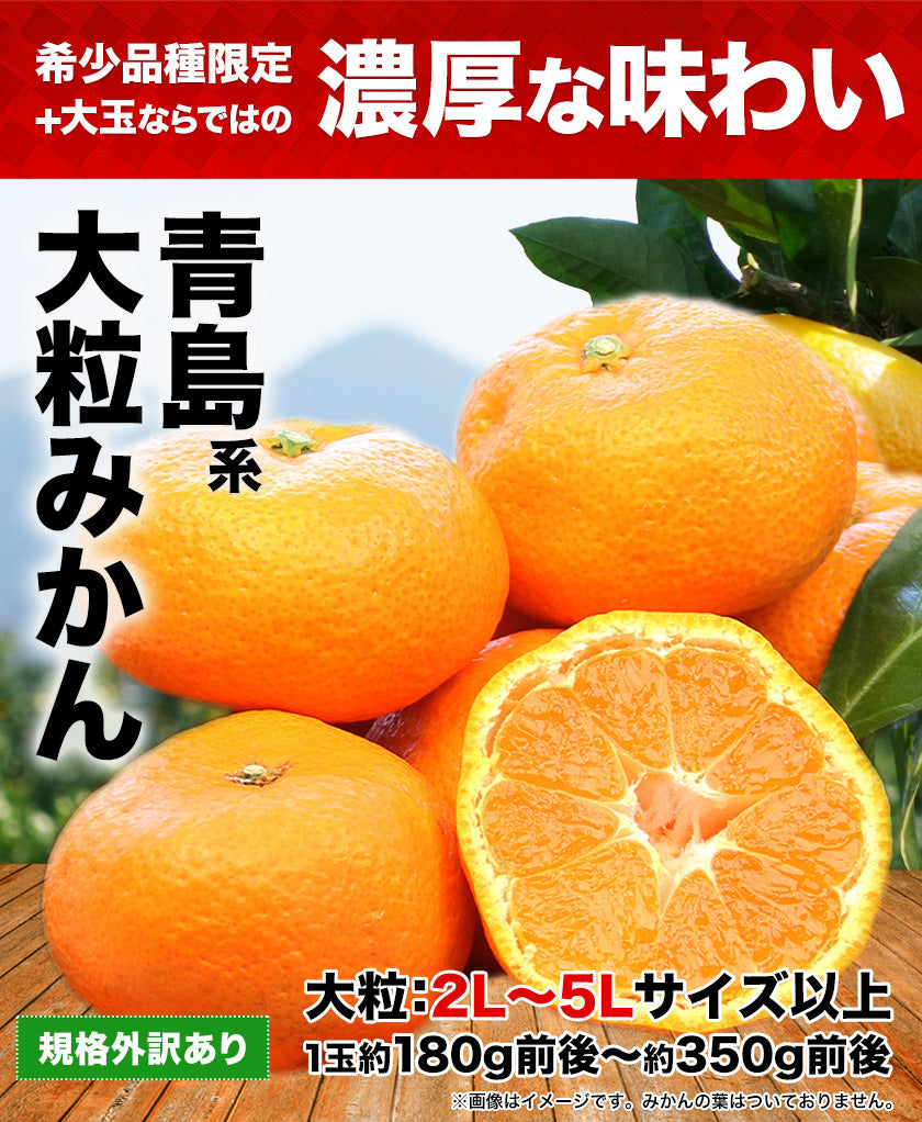 大粒 みかん 訳あり 4kg