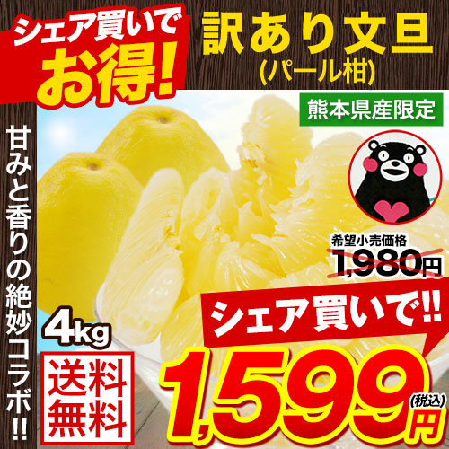 訳あり 文旦 ぶんたん パール柑 4kg