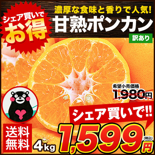 訳あり 甘熟 ポンカン 4kg