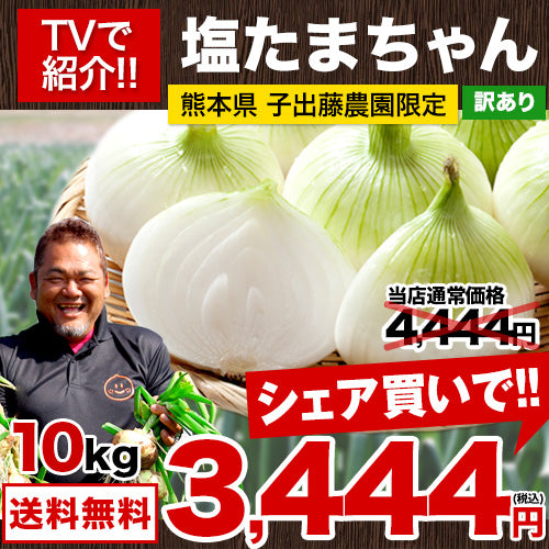 熊本県産 訳あり 塩たまちゃん 玉ねぎ たまねぎ 10kg 【5L-2Sサイズ不選別】 子出藤 (ねでふじ)