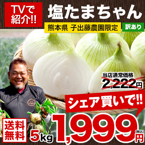 熊本県産 訳あり 塩たまちゃん 玉ねぎ たまねぎ 5kg 【5L-2Sサイズ不選別】 子出藤 (ねでふじ)