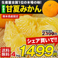 甘夏 みかん 4kg  送料無料 訳あり 熊本県産 名産地 旬のみかん