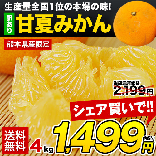 甘夏 みかん 4kg  送料無料 訳あり 熊本県産 名産地 旬のみかん