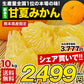 甘夏 みかん 10kg 【速攻出荷】 送料無料 訳あり 熊本県産 名産地 旬のみかん