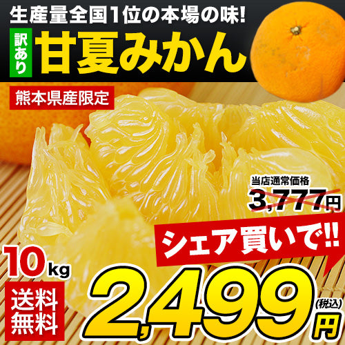甘夏 みかん 10kg 【速攻出荷】 送料無料 訳あり 熊本県産 名産地 旬のみかん