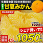 甘夏 みかん 1.5kg  送料無料 訳あり 熊本県産 名産地 旬のみかん