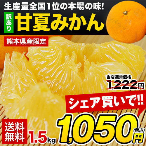 甘夏 みかん 1.5kg  送料無料 訳あり 熊本県産 名産地 旬のみかん