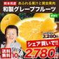 和製 グレープフルーツ 河内晩柑 10kg
