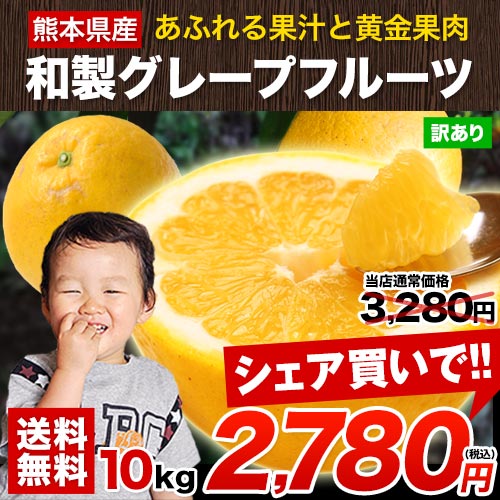 和製 グレープフルーツ 河内晩柑 10kg