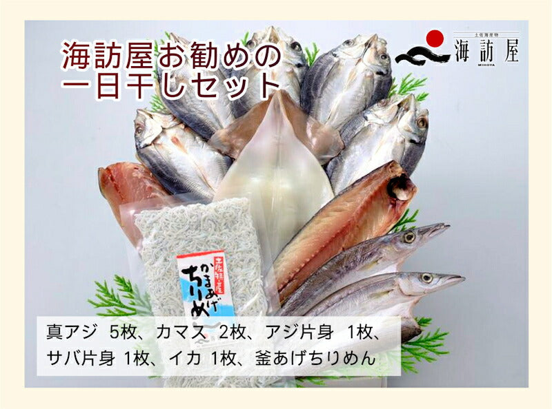 【送料込み】高知県高知市場 土佐海産物 海訪屋厳選１日干セット 冷凍便でお届け