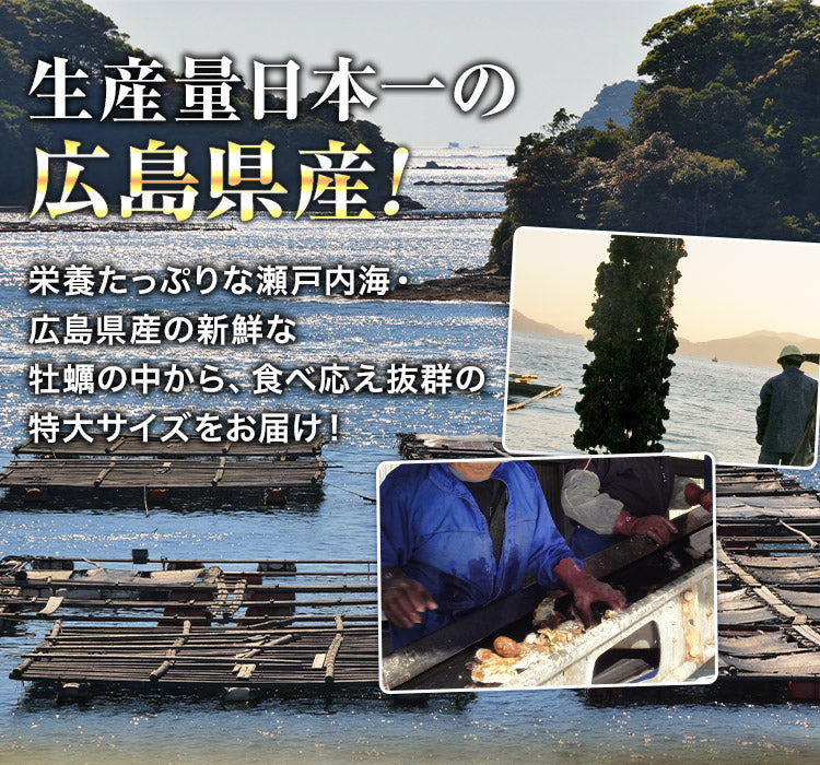 【タイムセール】大粒2Lカキ 広島県産 約1kg×2P 合計2kg 加熱用 業務用 メガ盛り カキフライ 鍋 バーベキュー BBQ 送料無料 冷凍便 お取り寄せグルメ 食品 ギフト 海鮮