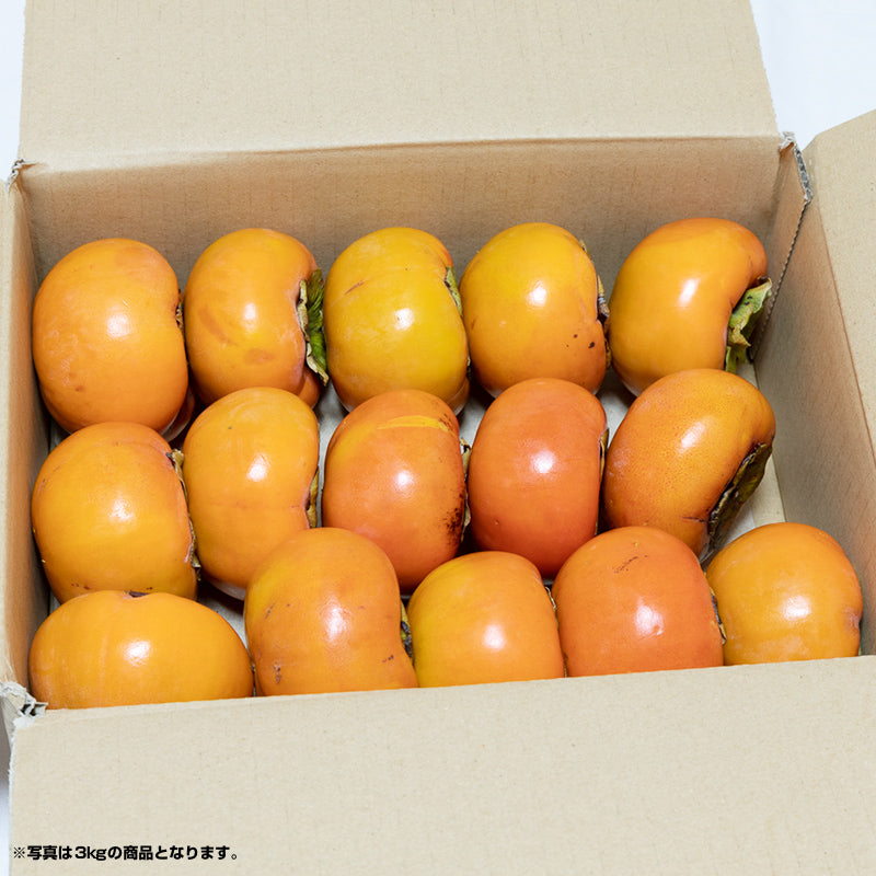 【大好評出荷中☆】[ご家庭用/訳あり品] 岐阜県本巣産 訳あり富有柿 約13〜30個入り 約5kg S〜3Lサイズ【送料無料】