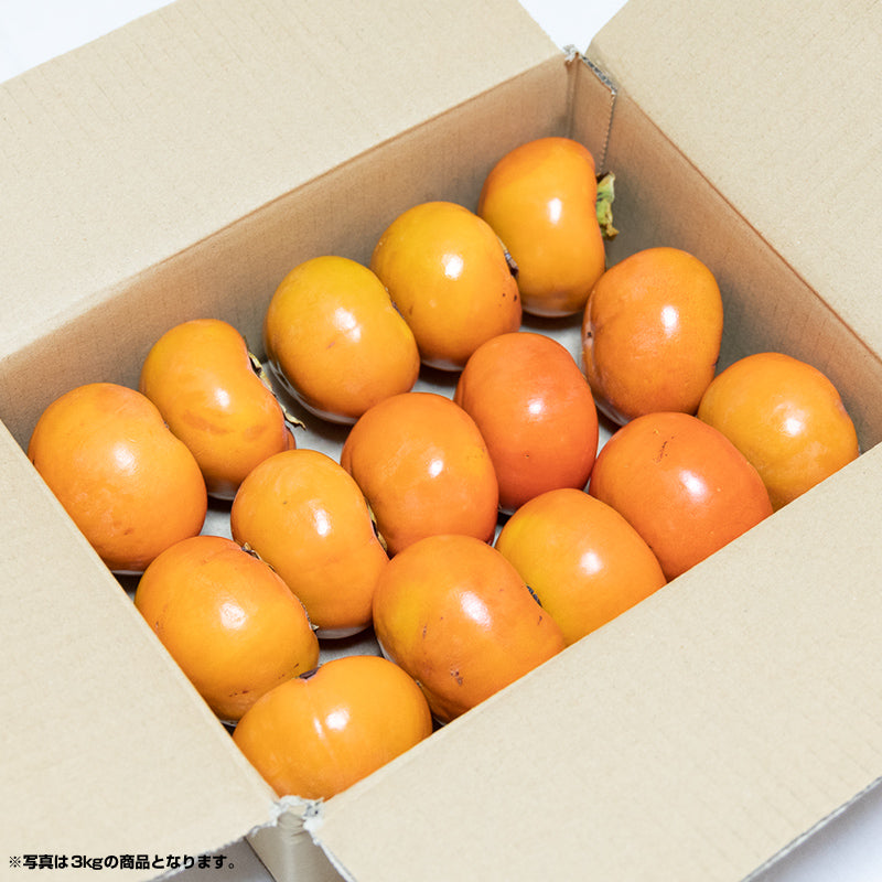 【大好評出荷中☆】[ご家庭用/訳あり品] 岐阜県本巣産 訳あり富有柿 約13〜30個入り 約5kg S〜3Lサイズ【送料無料】