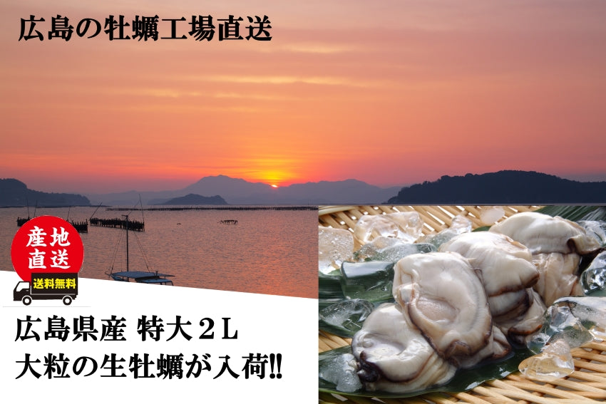 2Lサイズ牡蠣鍋2～3人前セット（加熱調理用）