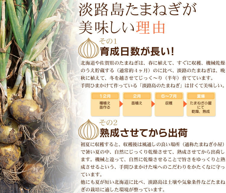 淡路島たまねぎ (訳)  2キロ　Sサイズ〜2Lサイズお任せ【発送予定：2023年5月1日頃から5月26日頃までに発送予定】【フレッシュセール】