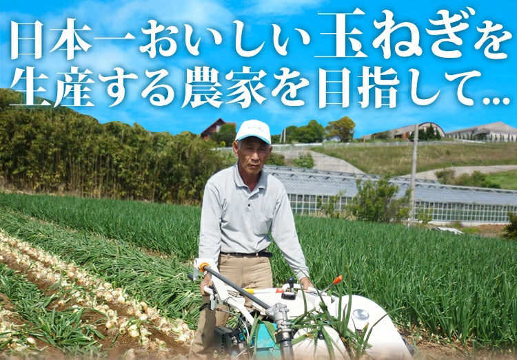10k 淡路島産  玉ねぎ かくし玉10k