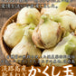 10k 淡路島産  玉ねぎ かくし玉10k