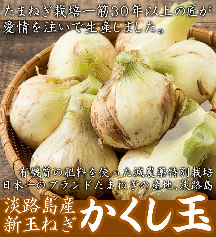10k 淡路島産  玉ねぎ かくし玉10k