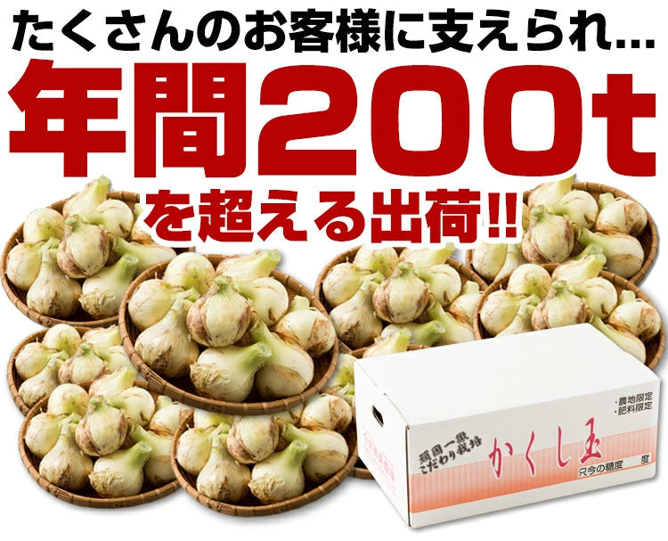 10k 淡路島産  玉ねぎ かくし玉10k
