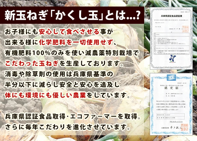 10k 淡路島産  玉ねぎ かくし玉10k