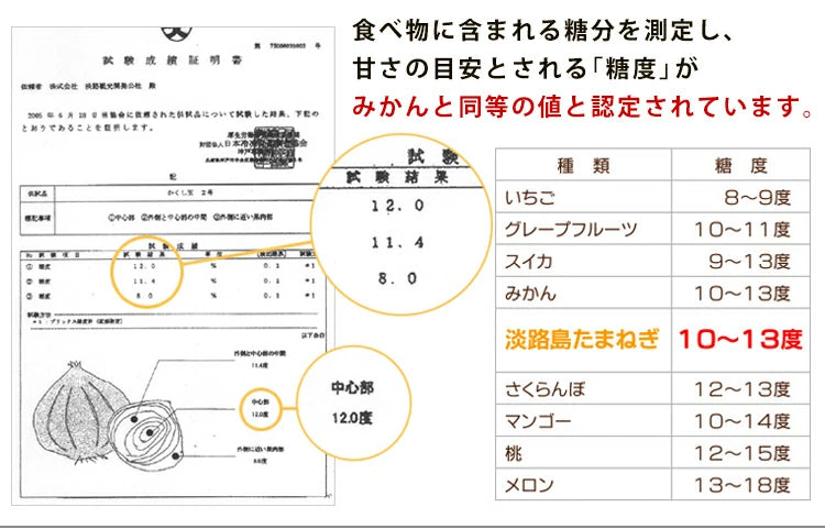 10k 淡路島産  玉ねぎ かくし玉10k