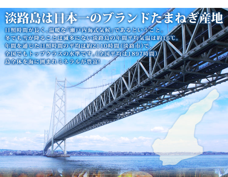 【500人シェア買い企画】【送料無料】【訳あり】淡路島たまねぎ5キロ 【タマネギ】たまねぎ＃訳あり淡路玉ねぎ5Ｋ＃たまねぎ 「淡路島産たまねぎ」