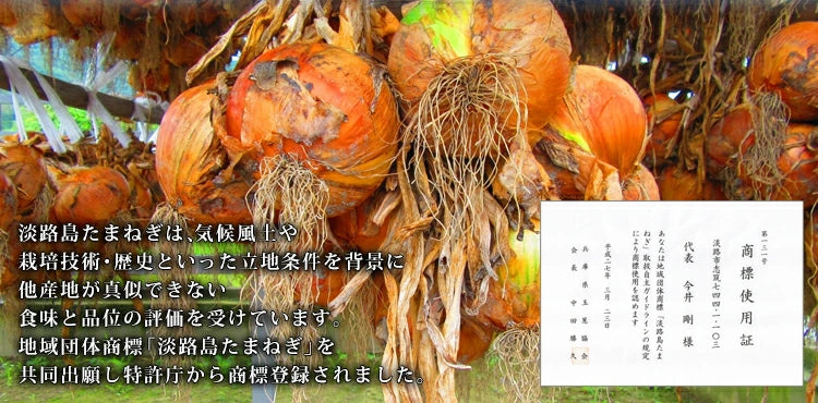 【先着10購入限定・13%OFF】10k 淡路島 訳あり 新玉ねぎ