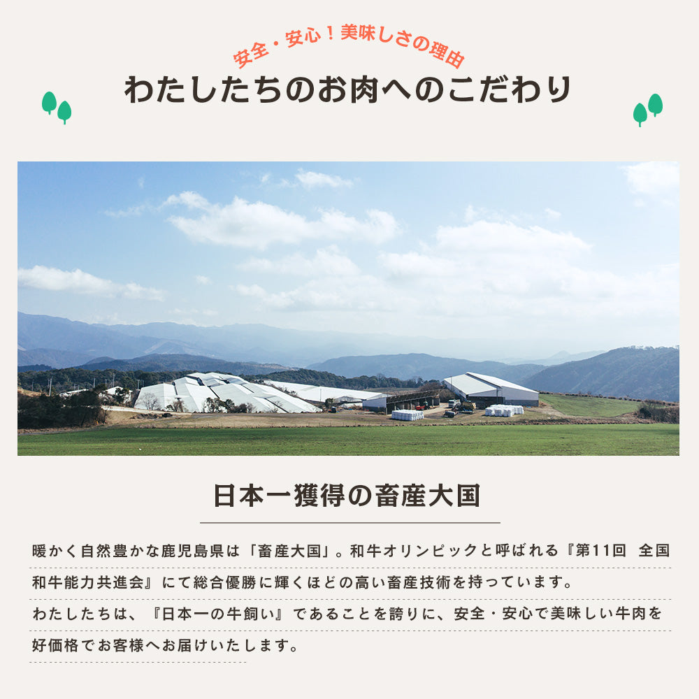 おうちで楽しむ焼肉屋さん｜大人数で！焼肉セット 6人前｜ビーファーズ・うしかいの味をご自宅で