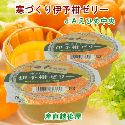 【ゼリー 柑橘類 伊予柑ゼリー 送料無料】愛媛県の農協 JAえひめ中央 愛媛の果実 伊予柑カップゼリー 寒づくり伊予柑ゼリー155ｇ 30個入【お中元 お歳暮 ギフト 贈り物】