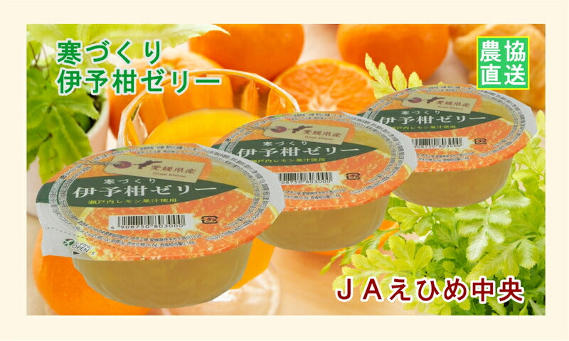 【ゼリー 柑橘類 伊予柑ゼリー 送料無料】愛媛県の農協 JAえひめ中央 愛媛の果実 伊予柑カップゼリー 寒づくり伊予柑ゼリー155ｇ 30個入【お中元 お歳暮 ギフト 贈り物】