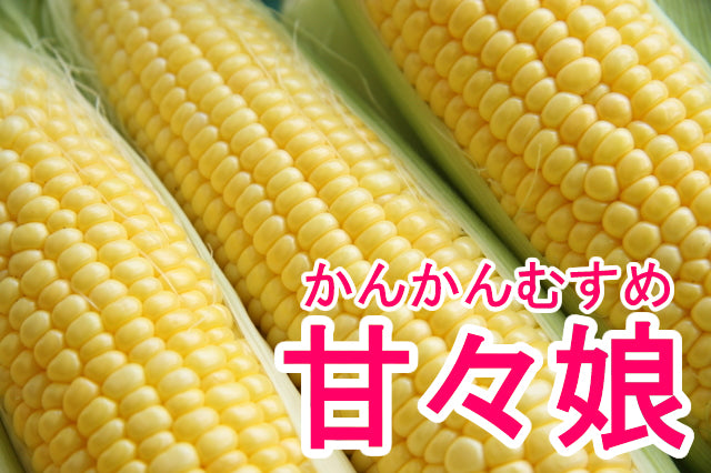 送料無料 とうもろこし 甘々娘 1.8キロ 朝採り 生で食べられるとうもろこし 甘々娘 かんかんむすめ フルーツコーン スイートコーン