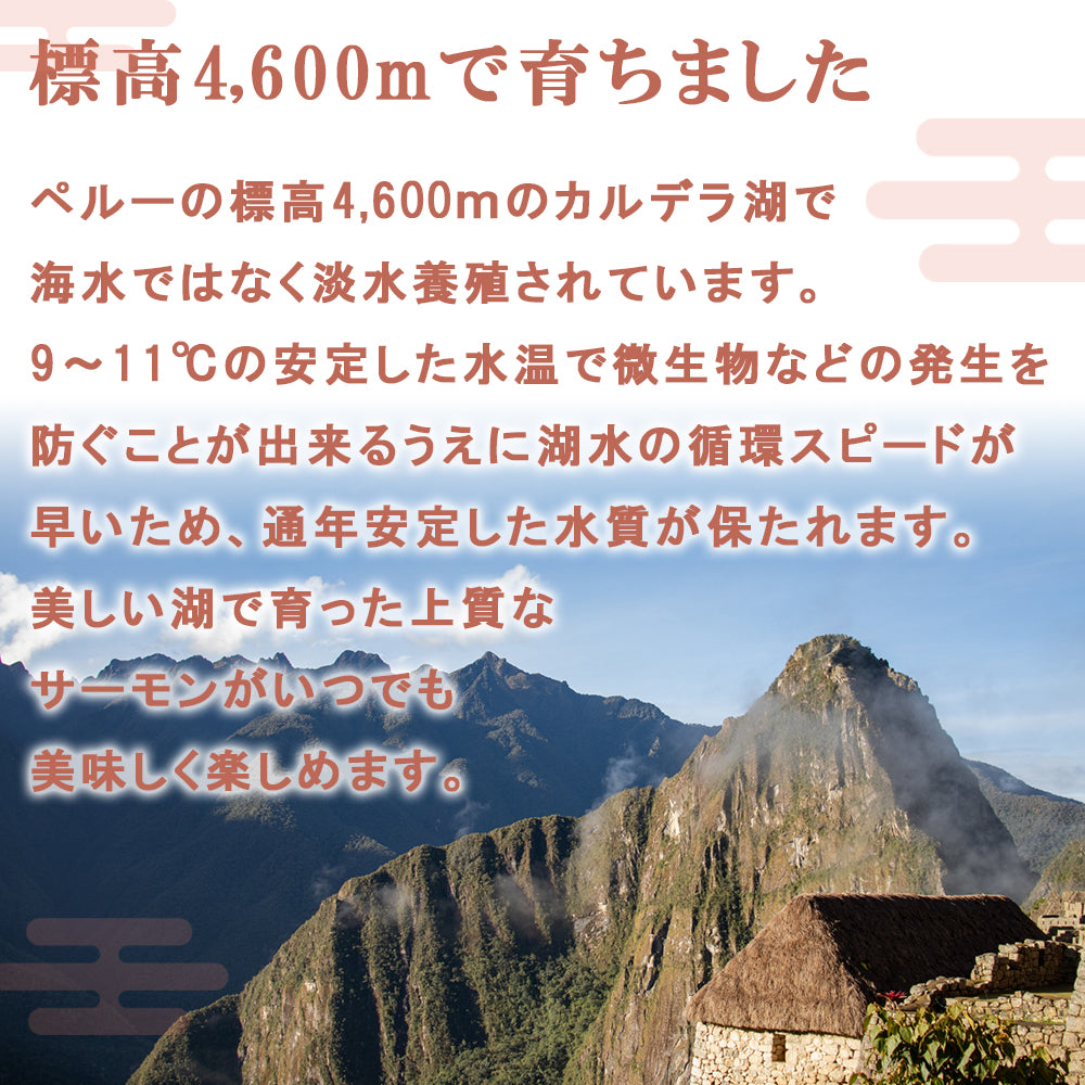 500g 刺身皮なし サーモン  フィレ