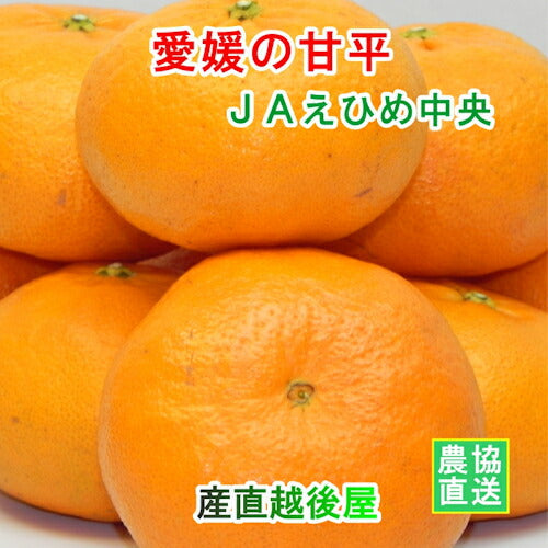 【みかん 甘平 愛媛県 送料無料】愛媛県の農協 JAえひめ中央 愛媛の新品種 甘平 5kg農協産地直送便でお届け【ギフト 贈り物 プレゼント】