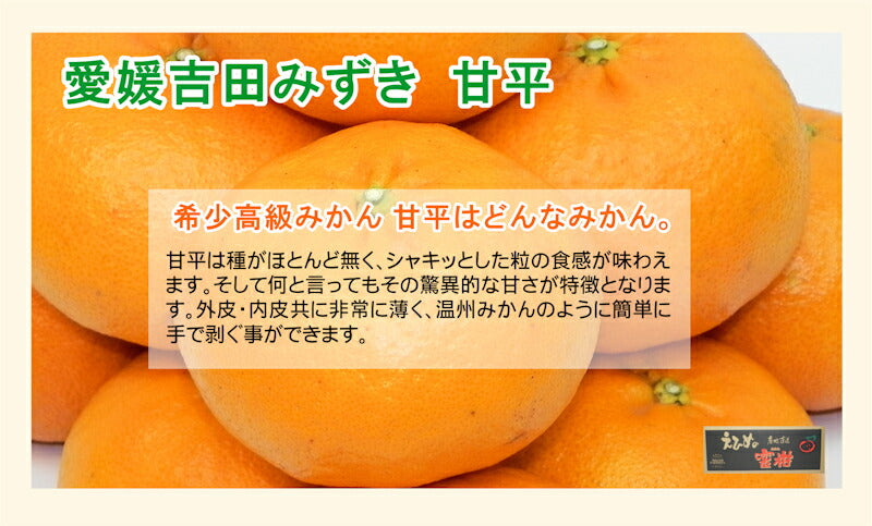 【フルーツ みかん 甘平みかん】愛媛県宇和島市 吉田町吉田みかん農家 土山みずき樹上完熟甘平みかん 5kgみかん農家から産地直送送料無料【果物 贈答品 ギフト】