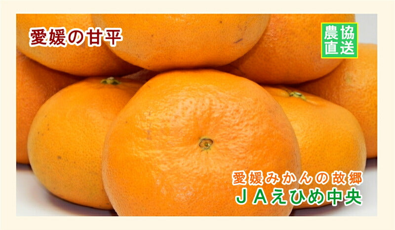 【みかん 甘平 愛媛県 送料無料】愛媛県の農協 JAえひめ中央 愛媛の新品種 甘平 5kg農協産地直送便でお届け【ギフト 贈り物 プレゼント】